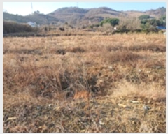  2024Ÿ��418 �泲 ���ؽ� ������ �ſ븮 624-11      ����(��)���