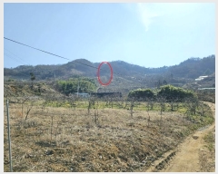  2024Ÿ1169 泲 â â ϸ ܻ긮 1184-1     (Ӿ)