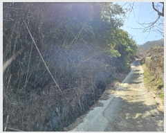  2024Ÿ1169 泲 â â ϸ ܻ긮 1184-1     (Ӿ)