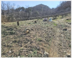  2024Ÿ1169 泲 â â ϸ ܻ긮 1184-1     (Ӿ)