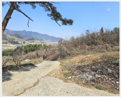  2024Ÿ1169 泲 â â ϸ ܻ긮 1184-1     (Ӿ)