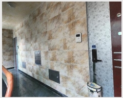  2024Ÿ5215 泲 ؽ  1111-9       ܵ,ð