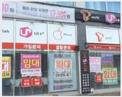  2024Ÿ5383 泲 ؽ ̸  1516-1      ٸü,󰡰