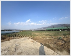  2024Ÿ��6461  ����