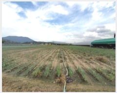  2024Ÿ��6461  ����