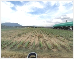  2024Ÿ��6461  ����