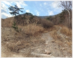  2024Ÿ��7808 �泲 ���ؽ� �󵿸� ������ 1037-1      ����(��1)���