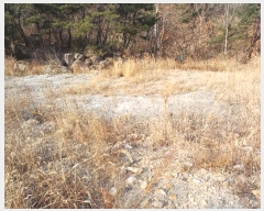  2024Ÿ��7808 �泲 ���ؽ� �󵿸� ������ 1037-1      ����(��1)���