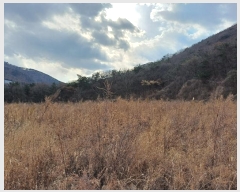  2024Ÿ��7808 �泲 ���ؽ� �󵿸� ������ 1037-1      ����(��1)���