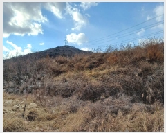  2024Ÿ��7808 �泲 ���ؽ� �󵿸� ������ 1037-1      ����(��1)���