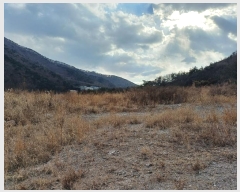  2024Ÿ��7808 �泲 ���ؽ� �󵿸� ������ 1037-1      ����(��1)���