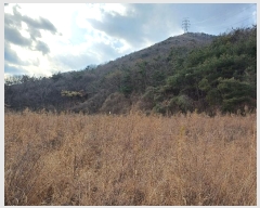  2024Ÿ��7808 �泲 ���ؽ� �󵿸� ������ 1037-1      ����(��1)���