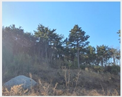  2024Ÿ��8085 �泲 ���ؽ� ������ 800-15       ����(�Ӿ�)���