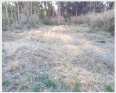  2024Ÿ��8085 �泲 ���ؽ� ������ 800-15       ����(�Ӿ�)���