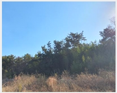  2024Ÿ��8085 �泲 ���ؽ� ������ 800-15       ����(�Ӿ�)���