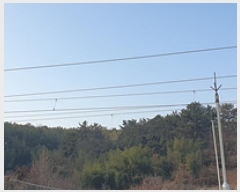  2024Ÿ��8085 �泲 ���ؽ� ������ 800-15       ����(�Ӿ�)���