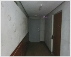  2024Ÿ102772 泲 â â ͷ 14, 4 401ȣ (,)   ,繫ǰ
