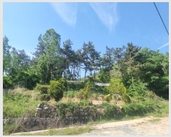  2024Ÿ104426 泲 ؽ Ѹ Ȱ 17      (Ӿ)