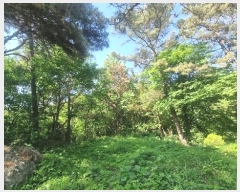  2024Ÿ104426 泲 ؽ Ѹ Ȱ 17      (Ӿ)