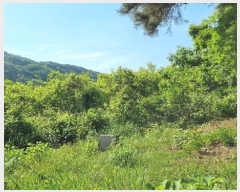  2024Ÿ104426 泲 ؽ Ѹ Ȱ 17      (Ӿ)