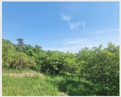  2024Ÿ104426 泲 ؽ Ѹ Ȱ 17      (Ӿ)