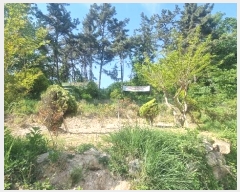  2024Ÿ104426 泲 ؽ Ѹ Ȱ 17      (Ӿ)