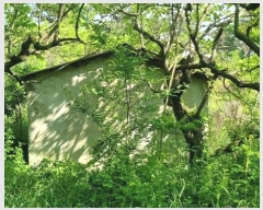  2024Ÿ104426 泲 ؽ Ѹ Ȱ 17      (Ӿ)