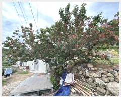  2024Ÿ104525 泲 ؽ ޵ 754-1       ()