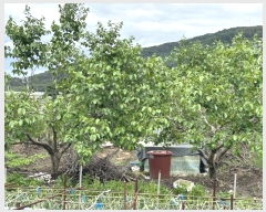  2024Ÿ104525 泲 ؽ ޵ 754-1       ()