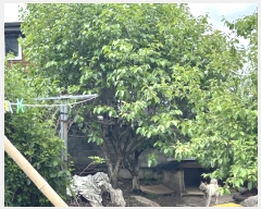  2024Ÿ104525 泲 ؽ ޵ 754-1       ()