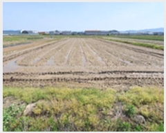  2024Ÿ��104976 �泲 ���ؽ� ������ ������ 818      ����(��1)���