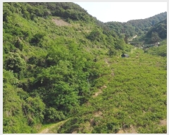  2024Ÿ��106255  �Ӿ߰��