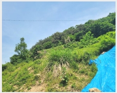  2024Ÿ��106255  �Ӿ߰��