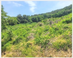  2024Ÿ��106255  �Ӿ߰��