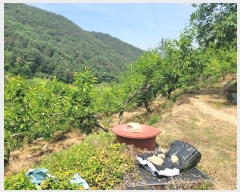  2024Ÿ��106255  �Ӿ߰��