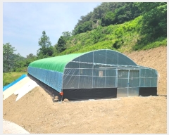  2024Ÿ��106255  �Ӿ߰��