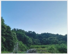 2024Ÿ107333 泲 â â ϸ  232-4     (Ӿ)