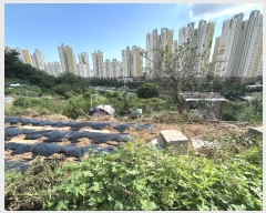  2024Ÿ��110742  �����