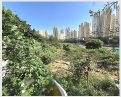  2024Ÿ��110742  �����