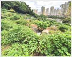  2024Ÿ��110742  �����