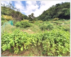  2024Ÿ��110742  �����