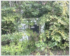  2024Ÿ��111189 �泲 ���ؽ� �Ź��� 1066-2       ���ð��