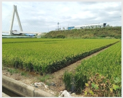  2024Ÿ111547 泲 ؽ Ѹ ݰ 382-12      ()