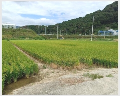  2024Ÿ111547 泲 ؽ Ѹ ݰ 382-12      ()