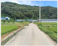  2024Ÿ111547 泲 ؽ Ѹ ݰ 382-12      ()