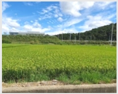  2024Ÿ111547 泲 ؽ Ѹ ݰ 382-12      ()