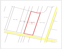  2024Ÿ111547 泲 ؽ Ѹ ݰ 382-12      ()