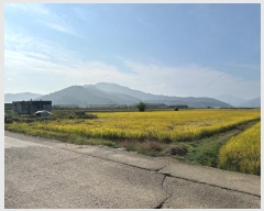  2024Ÿ��113444  ����