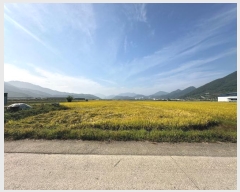  2024Ÿ��113444  ����