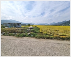  2024Ÿ��113444  ����